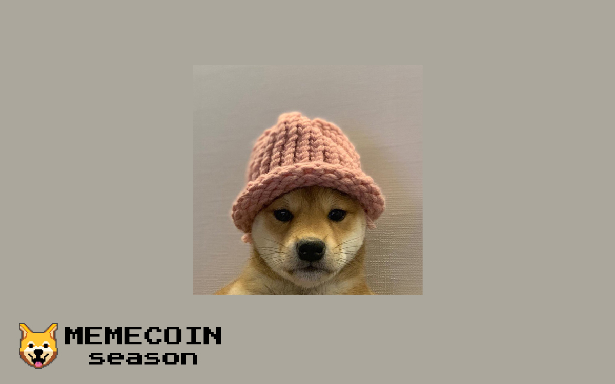 Dogwifhat ($WIF) meme coin