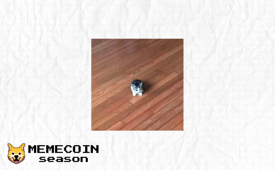 smol cat ($SMOL) meme coin