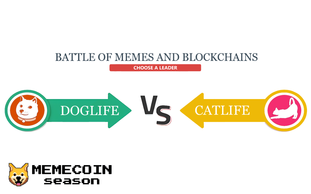 Battle of Memes and Blockchains