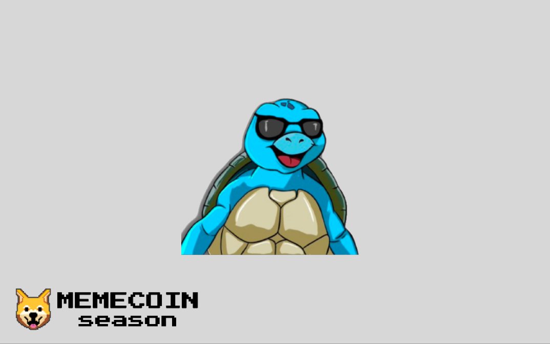 Cooper the Turtle ($COOPER)